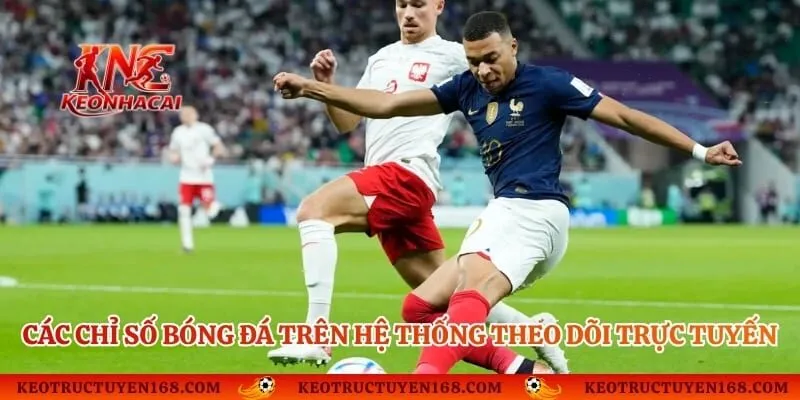 Các chỉ số bóng đá trên hệ thống theo dõi trực tuyến