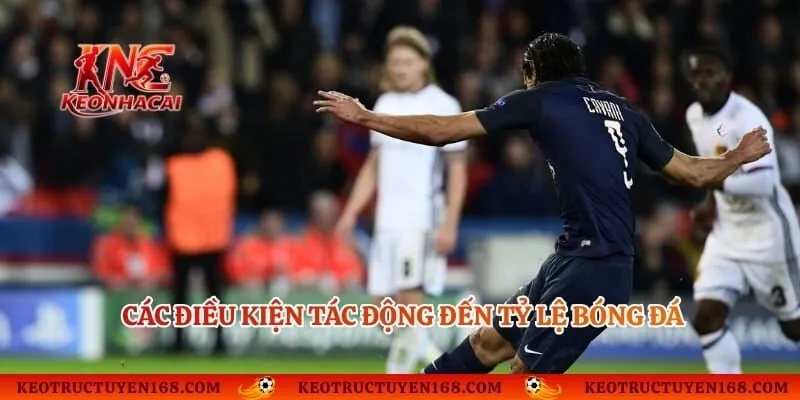 Các điều kiện tác động đến tỷ lệ bóng đá