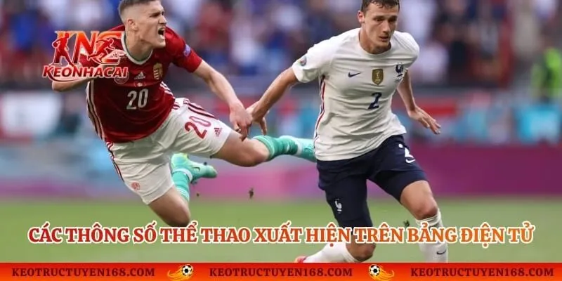 Các thông số thể thao xuất hiện trên bảng điện tử