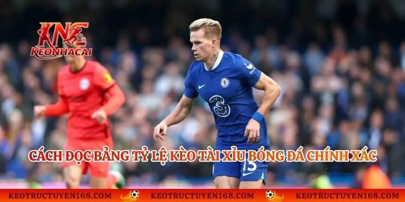 Cách đọc bảng tỷ lệ kèo Tài Xỉu bóng đá chính xác
