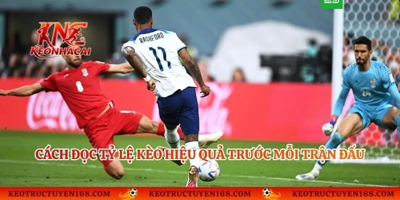 Cách đọc tỷ lệ kèo hiệu quả trước mỗi trận đấu