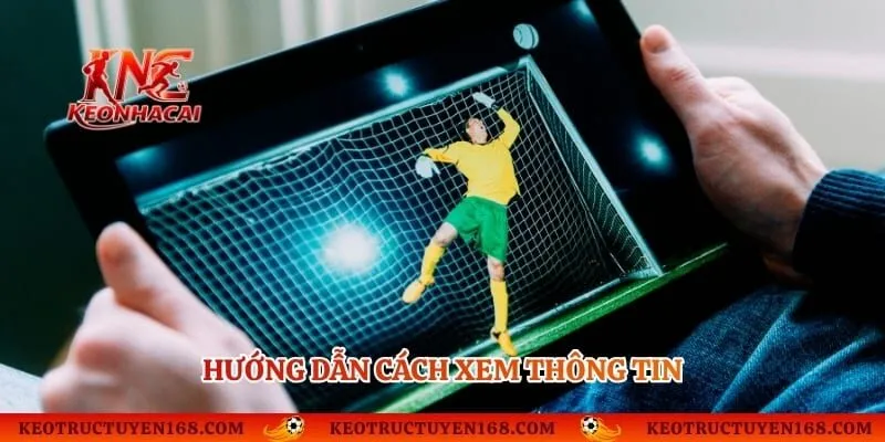 Hướng dẫn cách xem thông tin