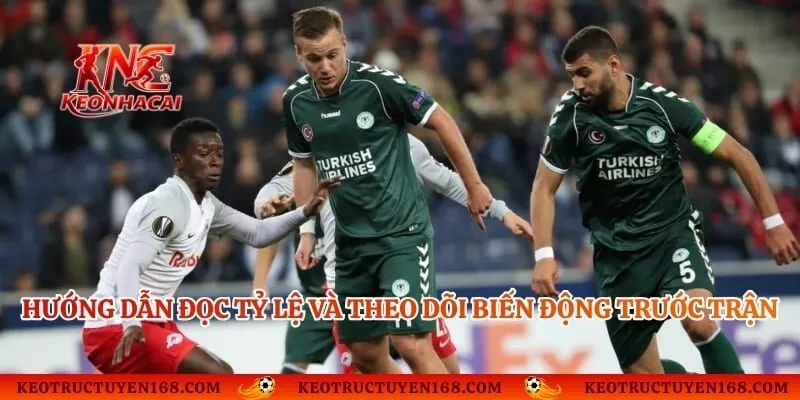 Hướng dẫn đọc tỷ lệ và theo dõi biến động trước trận