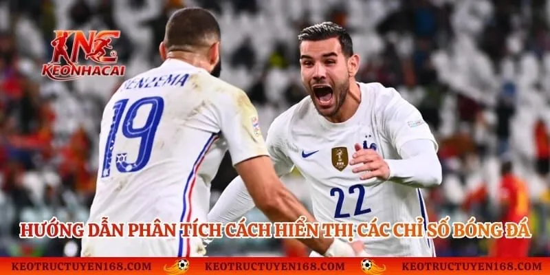 Hướng dẫn phân tích cách hiển thị các chỉ số bóng đá 