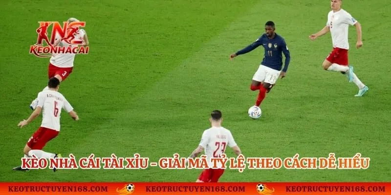 Kèo Nhà Cái Tài Xỉu - Giải Mã Tỷ Lệ Theo Cách Dễ Hiểu