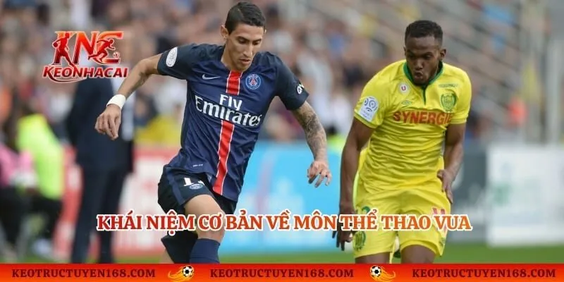 Khái niệm cơ bản về môn thể thao vua