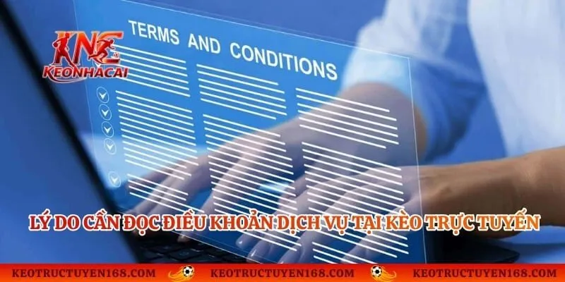 Lý do cần đọc điều khoản dịch vụ tại Kèo trực tuyến