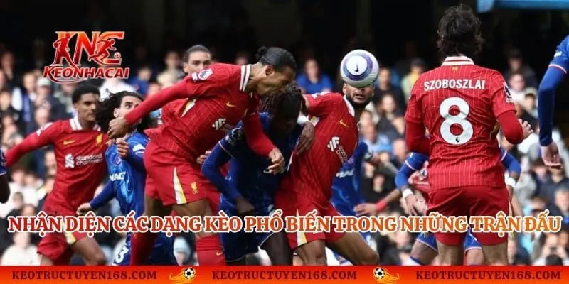 Nhận diện các dạng kèo phổ biến trong những trận đấu thể thao