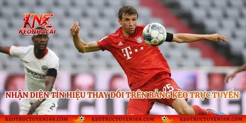 Nhận diện tín hiệu thay đổi trên bảng kèo trực tuyến nhà cái
