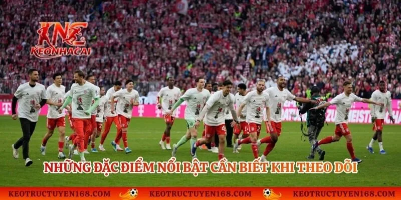 Những đặc điểm nổi bật cần biết khi theo dõi giải Bundesliga