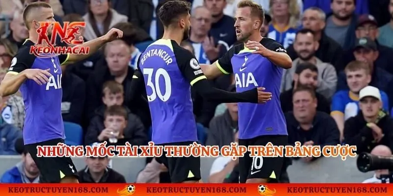 Những mốc Tài Xỉu thường gặp trên bảng cược