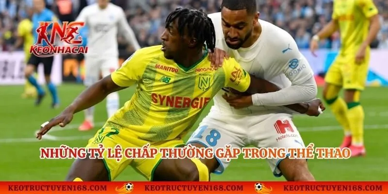 Những tỷ lệ chấp thường gặp trong thể thao