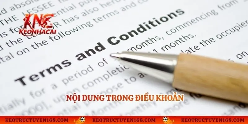 Nội dung trong điều khoản