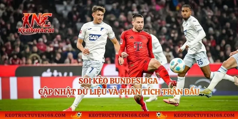 Soi Kèo Bundesliga - Cập Nhật Dữ Liệu Và Phân Tích Trận Đấu