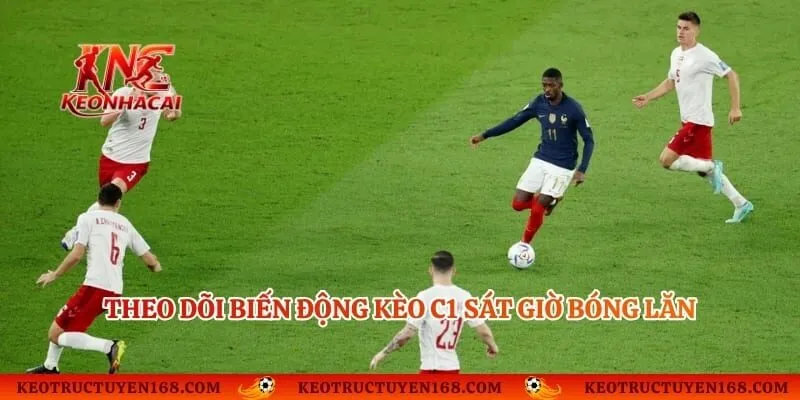 Theo dõi biến động kèo C1 sát giờ bóng lăn