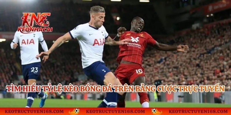 Tìm hiểu tỷ lệ kèo bóng đá trên bảng cược trực tuyến
