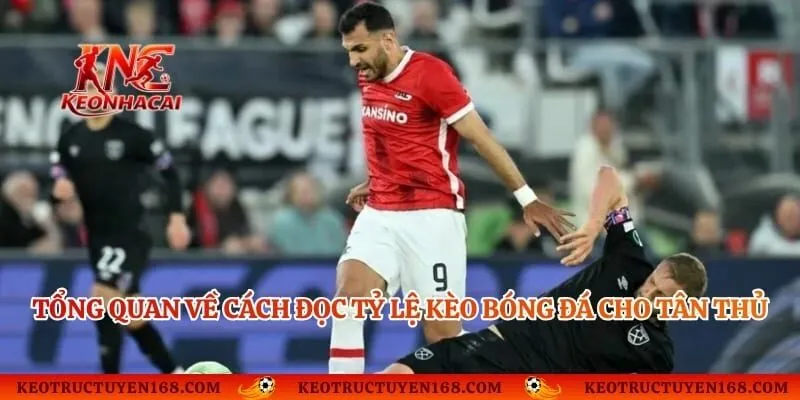 Tổng quan về cách đọc tỷ lệ kèo bóng đá cho tân thủ