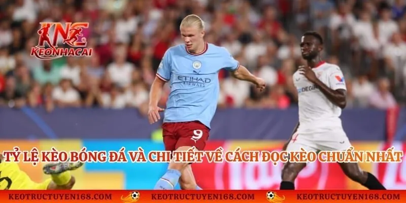 Tỷ Lệ Kèo Bóng Đá Và Chi Tiết Về Cách Đọc Kèo Chuẩn Nhất