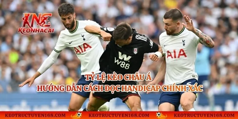 Tỷ Lệ Kèo Châu Á - Hướng Dẫn Cách Đọc Handicap Chính Xác