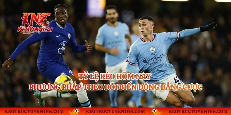 Tỷ Lệ Kèo Hôm Nay - Phương Pháp Theo Dõi Biến Động Bảng Cược